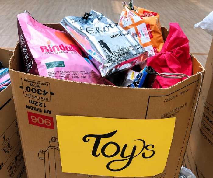 Toy Donation Camp
