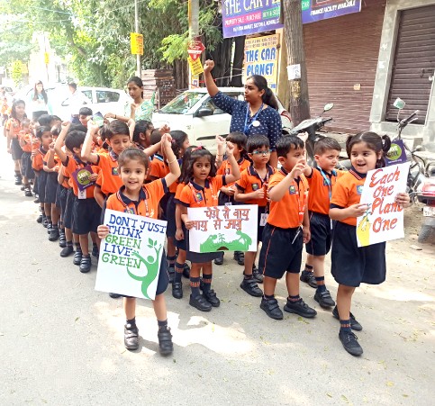 Plantation Drive